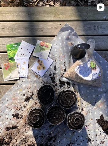 Social media video thumbnail: seed packets, peat pots and soil on a sowing mat on a wooden deck.